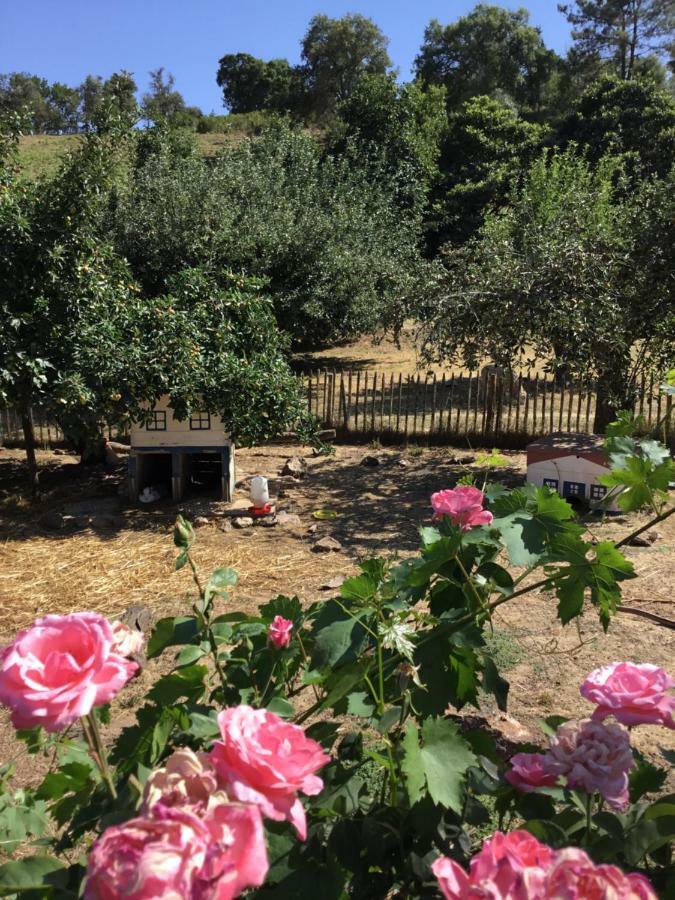 הוילה Cercal do Alentejo Quinta Boavista מראה חיצוני תמונה