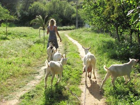 הוילה Cercal do Alentejo Quinta Boavista מראה חיצוני תמונה